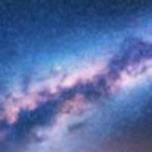 Meet your Posher, Autumn